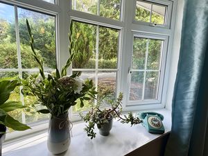Lounge View- click for photo gallery